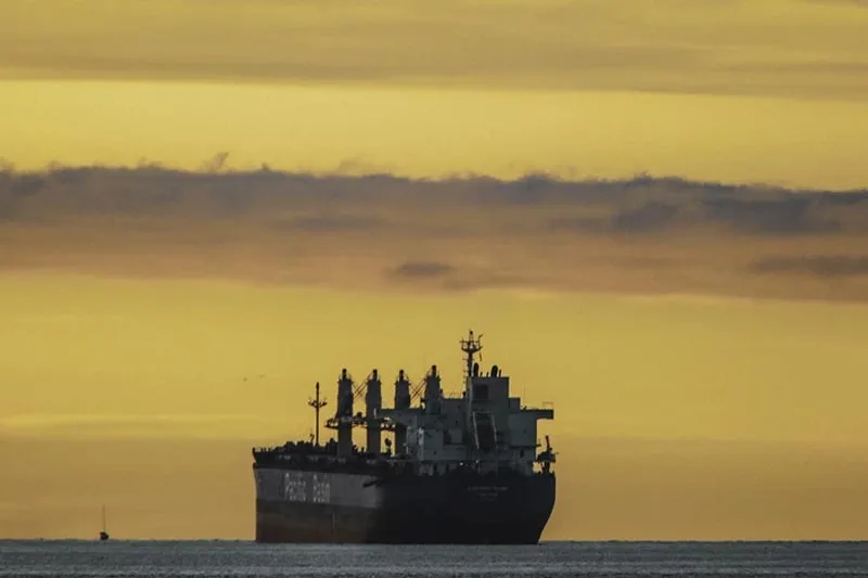 Marine & Offshore rostris