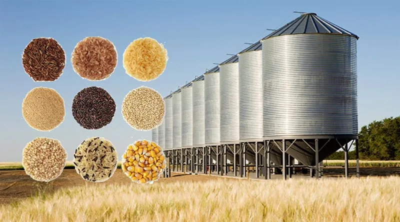 Agricultural Scenarios